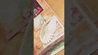 Minialbum scrap para principiantes #scrap #politascrap #hanmade