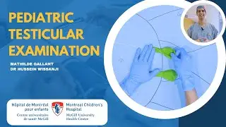 How to perform a testicular examination in children