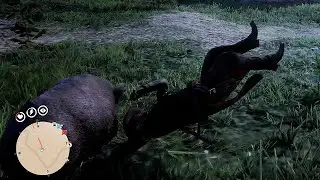 Кабан Вакпа Легендарные животные - Red Dead Online