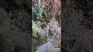 Гейзер, реагирующий на громкий звук