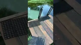 ПРИВЕЗ САНЬКА В КАЙФОВОЕ МЕСТО