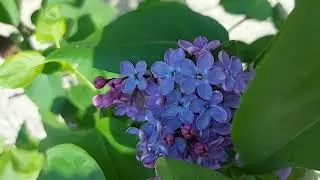 Наводим красоту....