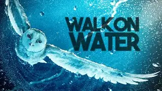 [The Owls of Ga'Hoole] | Walk on Water