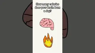 How Many Calories Does Your Brain Burn a Day? #shorts #animation