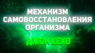 Джон Кехо. Механизм самовосстановления.