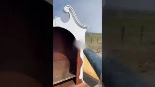 Paint off! Have you tried that blaster? | Woodworking Skills 🔥 #woodtok #shorts #woodworking
