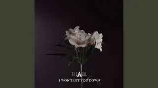 I won't let you down