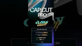 Ở đây có Capcut Pro #99k