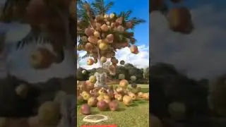 Apple tree dance