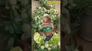 Split green fruits 