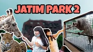 Jatim Park 2 (Part 2) || Batu Secret Zoo || Ngasih Makan Singa dan Jerapah!