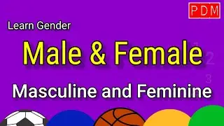 Gender | Male Female//Masculine Feminine//English Grammar/Gender in English Grammar/masculine gender