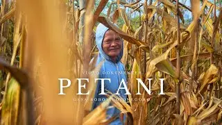 Cinematic Documentary Video | Bobol Village Farmer | Video Dokumenter Sinematik Petani Desa Bobol.