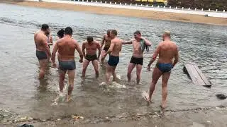 Моржи Оренбург