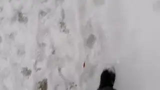 Хруст снега под ногами. / Звук снега. / Звуки для медитации, отдыха и сна. /Relax