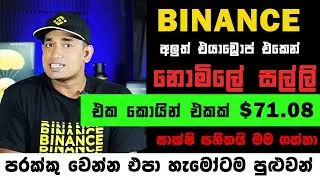 binance new airdrop sinhala Binanace Hodler Airdop sinhala | binance airdrop