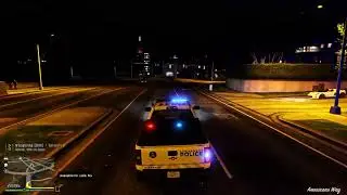 GTA5 - LSPDFR - K9 patrol