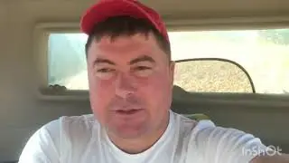 Зацепил другую жатку. Началась уборка кукурузы