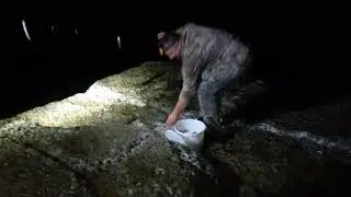 Ставрида Одесса