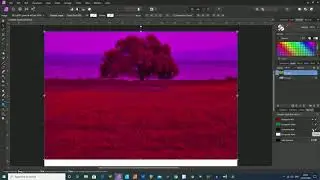 Affinity Photo Channels Mask