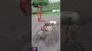 Посадка картошки в пыль #мотоблоки #фрезы #картофель