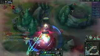 S+ Neeko Christmas Highlight