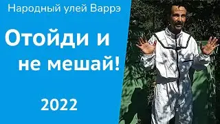 Народный улей Варрэ. Это всё, что я могу сделать для пчел