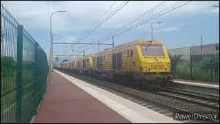 Compilation de sifflet Février à Juin 2024