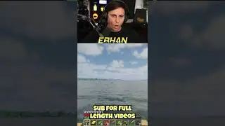 Minecraft dolphins are so cool!