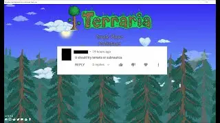 Terraria, 1 person asked