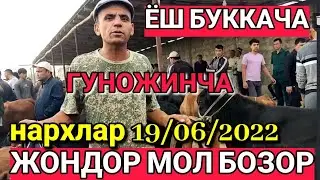 БУХОРО ЖОНДОР МОЛ БОЗОР. ЁШ БУККАЧА ГУНОЖИНЧА НАРХЛАР 19/06/2022