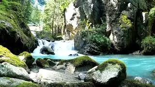 Горная Река 💦 (Видео Фон)