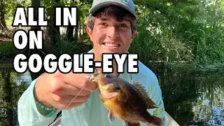 All in on Goggle Eye