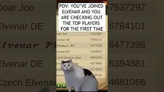 Aiming at the top 🏆 #cat #catmeme #memes #viral #reels #fantasy #gaming