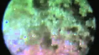 Oxidation Reduction Reaction 2