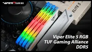 無畏極速！Viper Elite 5 RGB TUF Gaming Alliance DDR5 聯名記憶體 | Patriot Viper 博帝科技