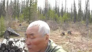 Пакости незванного гостя