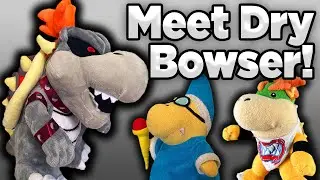 Meet Dry Bowser!