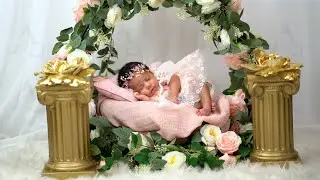 Monayah's Newborn  Session  4k