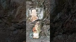 Серый, сероглазый волк с чашкой чая перед кареглазой бабушкой прячущей за спиной внучку.