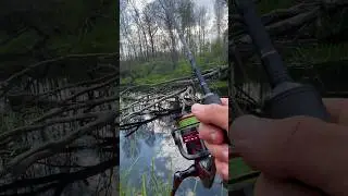 Дерзкая поклёвка Язя!😼🎣 #рыбалканаязя #рыбалка язьрыбамоеймечты #природа #путишествие