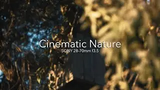 Cinematic Nature - Sony 28-70mm F3.5