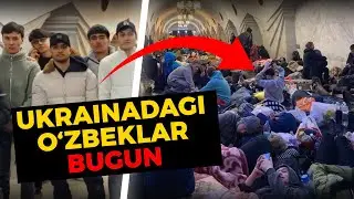 Ukrainadagi O'zbekistonlik talabalar hozir qayerda? Bugun Nima Gap