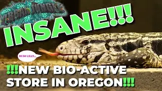 Urban Jungle | Shop Walkthrough and George's Tank!!!