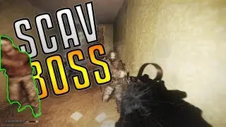 BATTLING THE SCAV BOSS ON STREAM