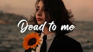 shy martin ~ dead to me (lyrics)