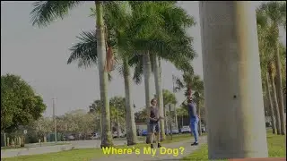i Lost My Dog Prank!