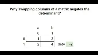 Why swapping columns or rows of a matrix negates the determinant? #maths #matrix #algebra #cs