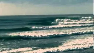 Sea Movies - All I've Found George Greenough