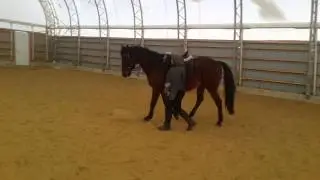 Galop en main